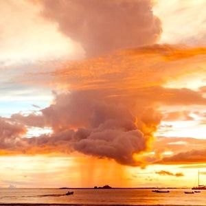 Meet your Posher, Daniela